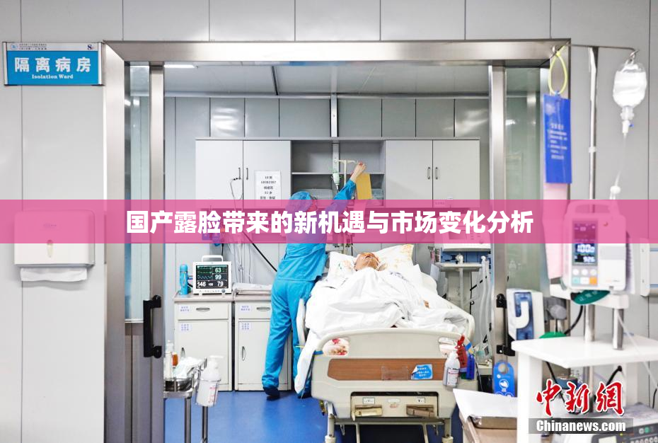 国产露脸带来的新机遇与市场变化分析