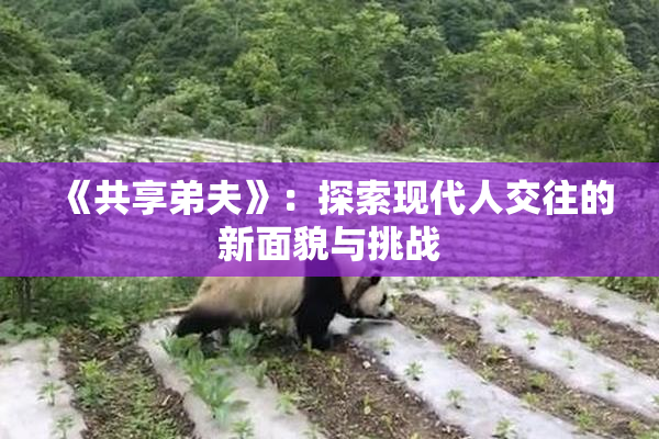 《共享弟夫》：探索现代人交往的新面貌与挑战