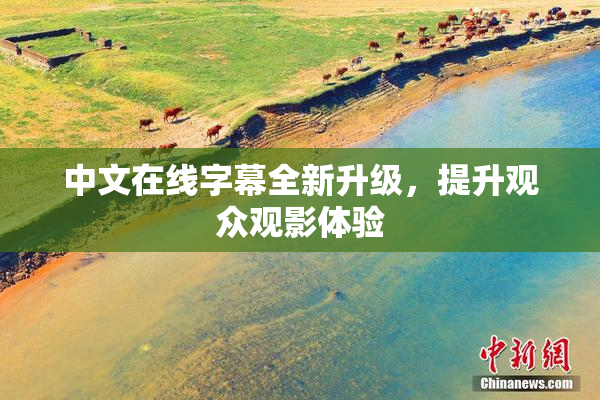 中文在线字幕全新升级，提升观众观影体验
