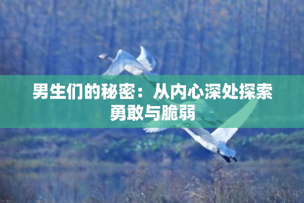 男生们的秘密：从内心深处探索勇敢与脆弱