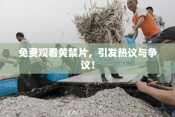 免费观看黄禁片，引发热议与争议！