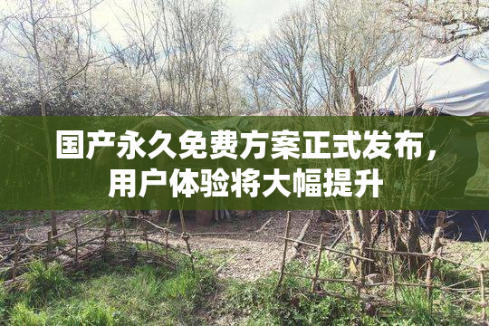 国产永久免费方案正式发布，用户体验将大幅提升