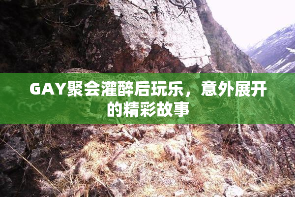 GAY聚会灌醉后玩乐，意外展开的精彩故事