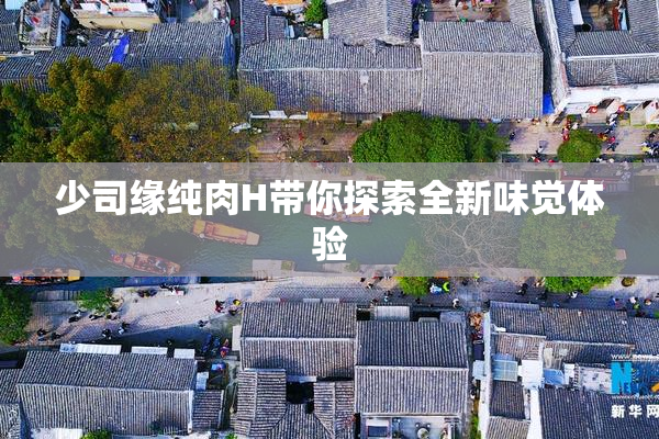 少司缘纯肉H带你探索全新味觉体验