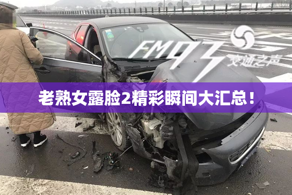 老熟女露脸2精彩瞬间大汇总！