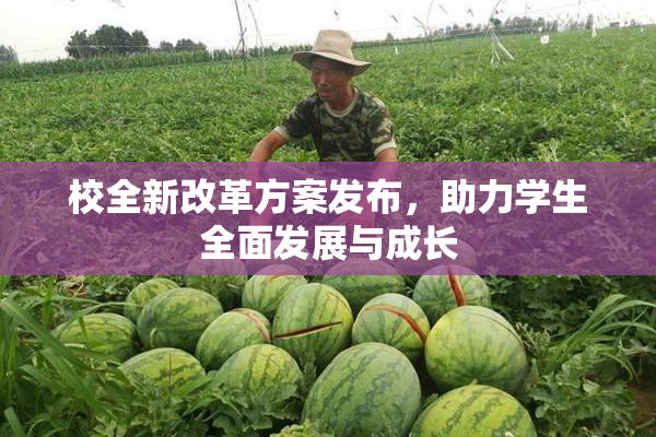 校全新改革方案发布，助力学生全面发展与成长