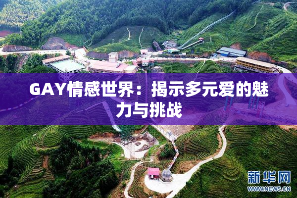 GAY情感世界：揭示多元爱的魅力与挑战