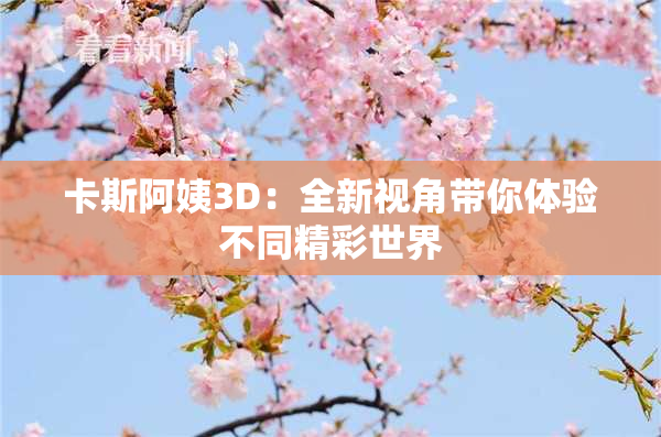 卡斯阿姨3D：全新视角带你体验不同精彩世界