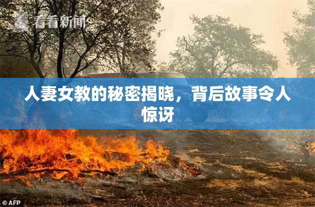 人妻女教的秘密揭晓，背后故事令人惊讶