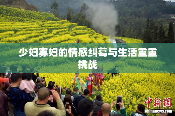 少妇寡妇的情感纠葛与生活重重挑战