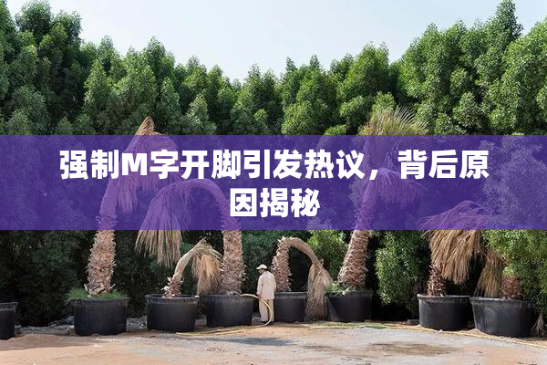 强制M字开脚引发热议，背后原因揭秘