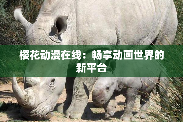 樱花动漫在线：畅享动画世界的新平台