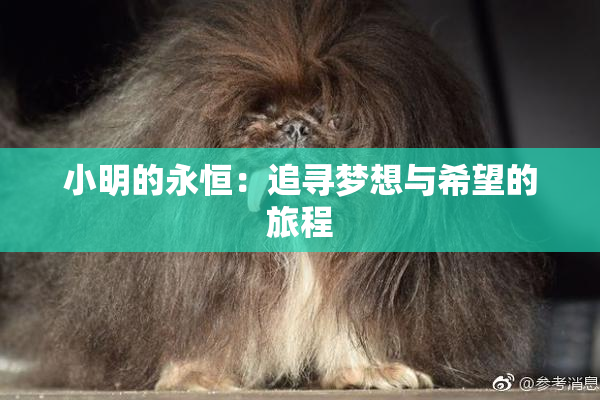 小明的永恒：追寻梦想与希望的旅程