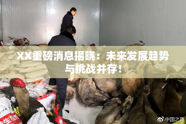 XX重磅消息揭晓：未来发展趋势与挑战并存！