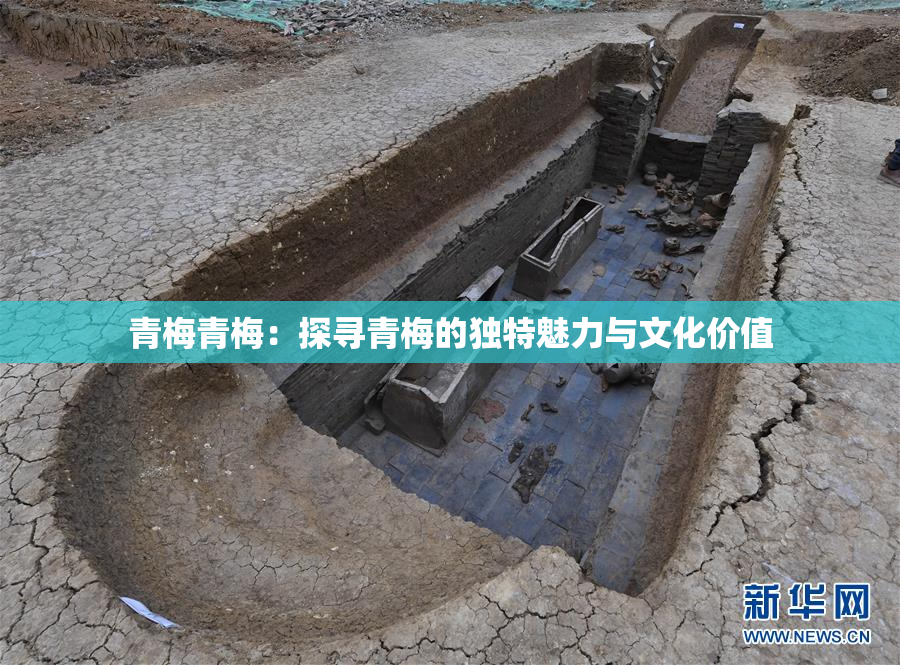 青梅青梅：探寻青梅的独特魅力与文化价值