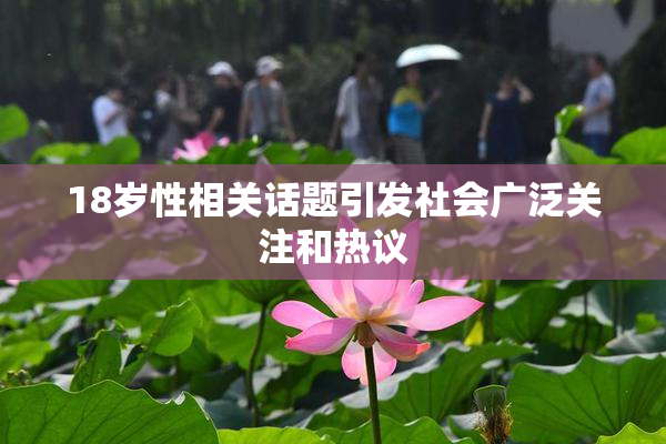 18岁性相关话题引发社会广泛关注和热议