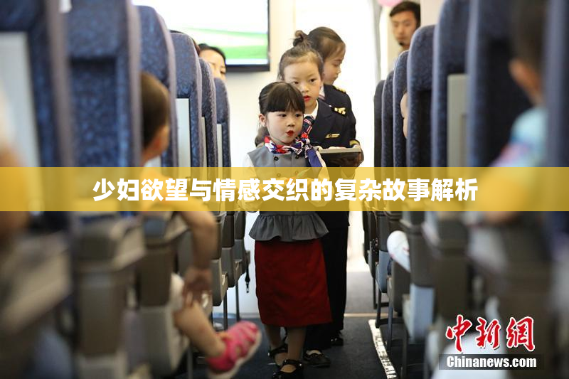 少妇欲望与情感交织的复杂故事解析