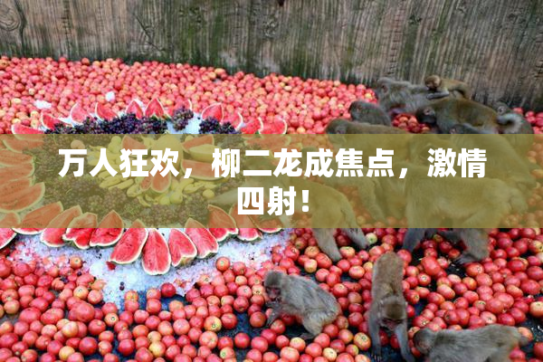 万人狂欢，柳二龙成焦点，激情四射！