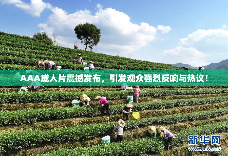 AAA成人片震撼发布，引发观众强烈反响与热议！