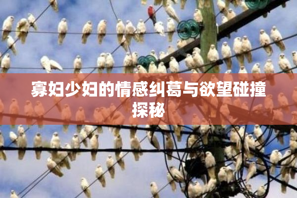 寡妇少妇的情感纠葛与欲望碰撞探秘