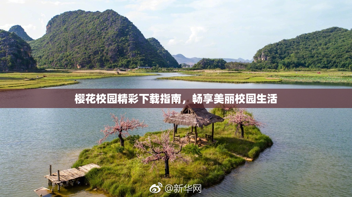樱花校园精彩下载指南，畅享美丽校园生活