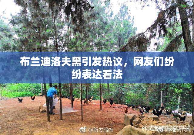 布兰迪洛夫黑引发热议，网友们纷纷表达看法