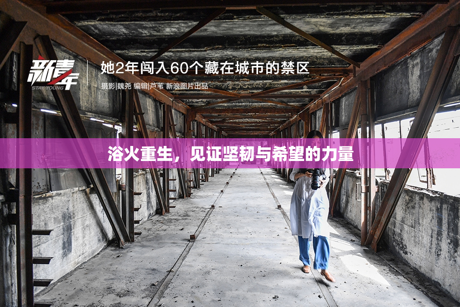 浴火重生，见证坚韧与希望的力量