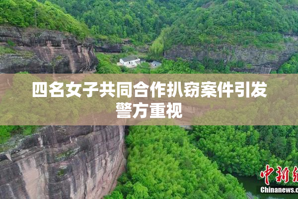 四名女子共同合作扒窃案件引发警方重视