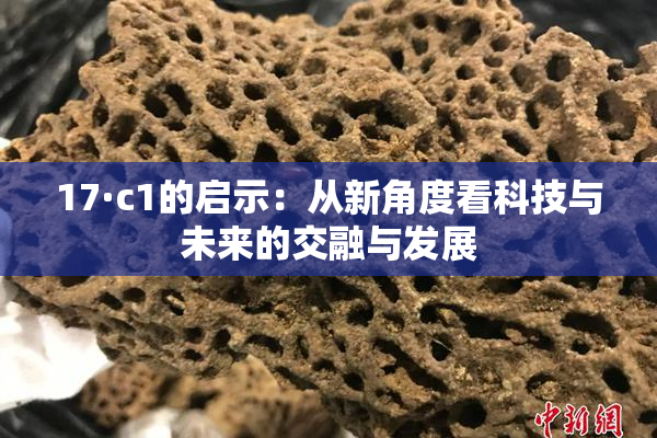 17·c1的启示：从新角度看科技与未来的交融与发展