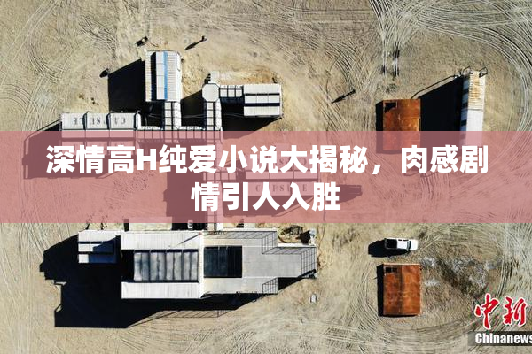 深情高H纯爱小说大揭秘，肉感剧情引人入胜