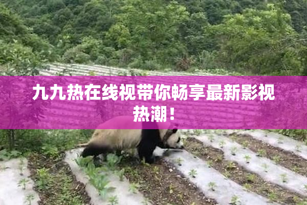 九九热在线视带你畅享最新影视热潮！