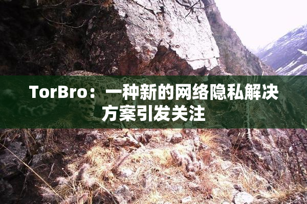TorBro：一种新的网络隐私解决方案引发关注