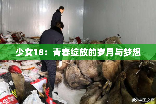 少女18：青春绽放的岁月与梦想