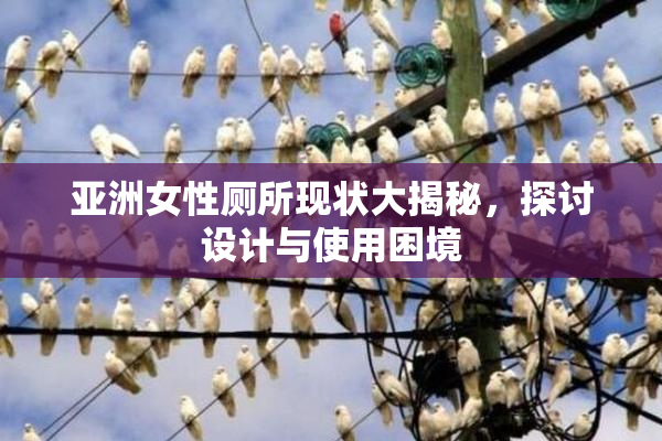 亚洲女性厕所现状大揭秘，探讨设计与使用困境