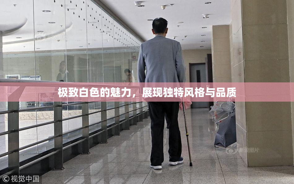 极致白色的魅力，展现独特风格与品质
