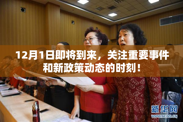 12月1日即将到来，关注重要事件和新政策动态的时刻！