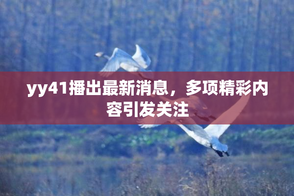 yy41播出最新消息，多项精彩内容引发关注
