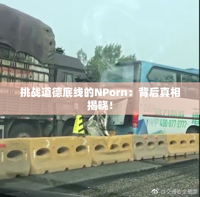 挑战道德底线的ΝPorn：背后真相揭晓！