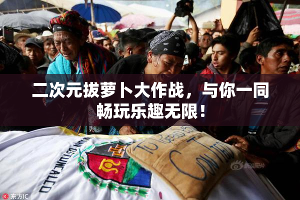 二次元拔萝卜大作战，与你一同畅玩乐趣无限！