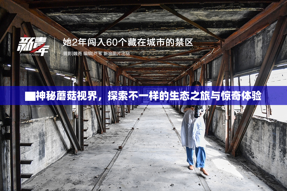 ▇神秘蘑菇视界，探索不一样的生态之旅与惊奇体验