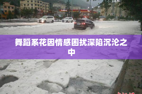 舞蹈系花因情感困扰深陷沉沦之中