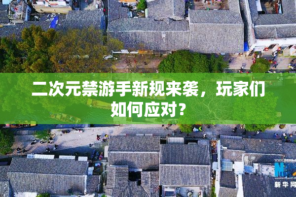 二次元禁游手新规来袭，玩家们如何应对？