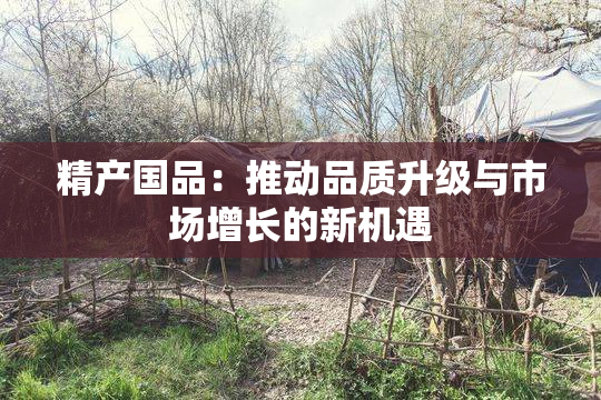 精产国品：推动品质升级与市场增长的新机遇