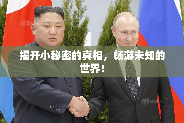揭开小秘密的真相，畅游未知的世界！