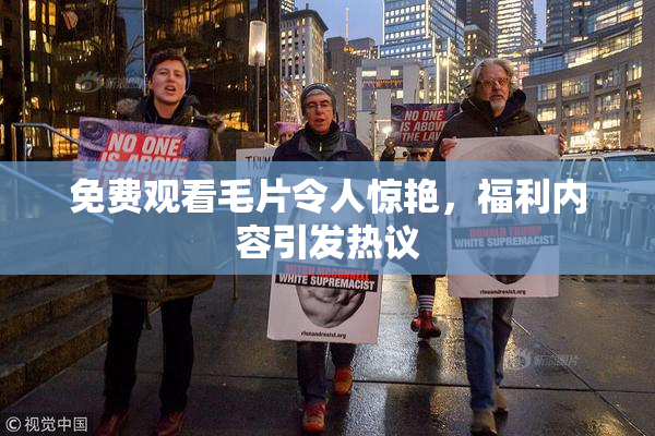 免费观看毛片令人惊艳，福利内容引发热议