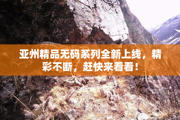 亚州精品无码系列全新上线，精彩不断，赶快来看看！