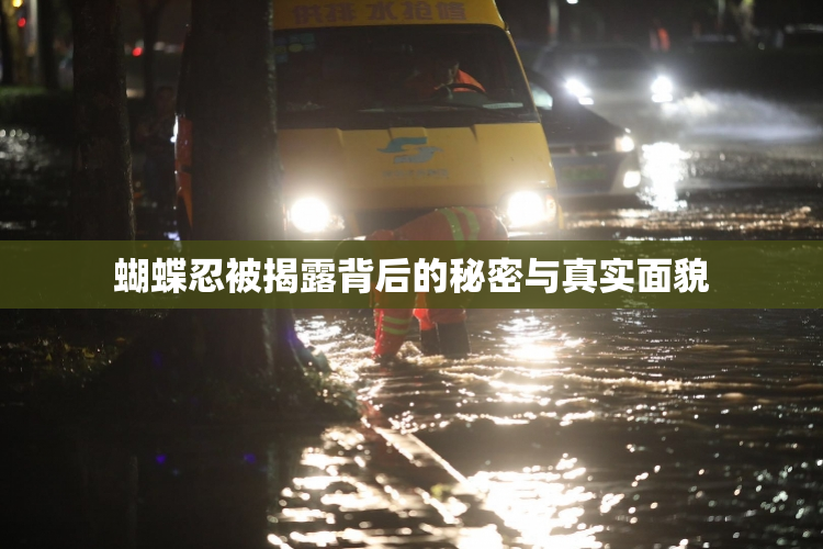 蝴蝶忍被揭露背后的秘密与真实面貌