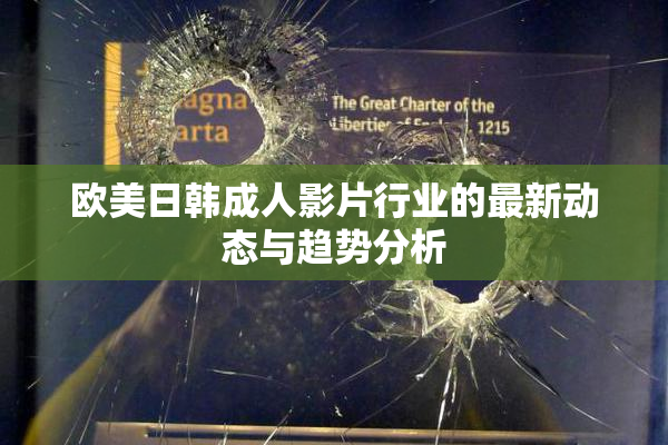 欧美日韩成人影片行业的最新动态与趋势分析