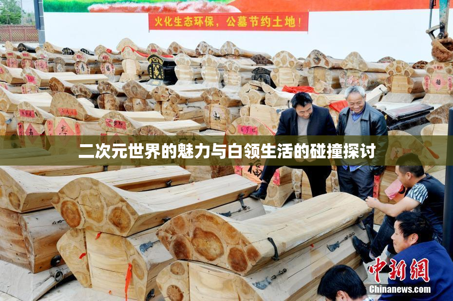 二次元世界的魅力与白领生活的碰撞探讨