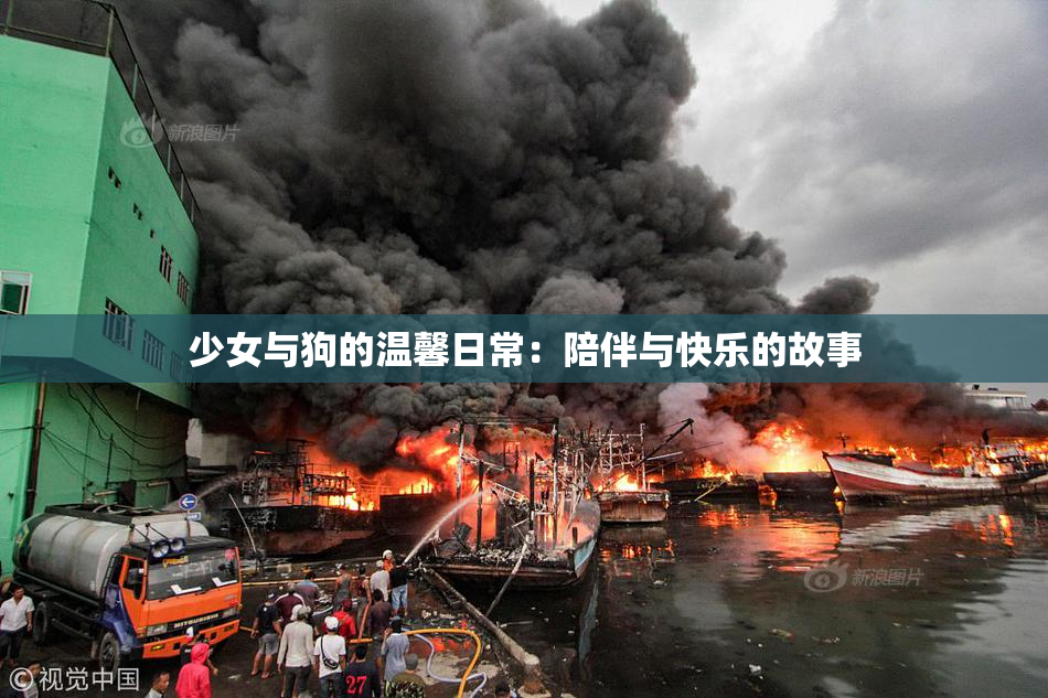 少女与狗的温馨日常：陪伴与快乐的故事